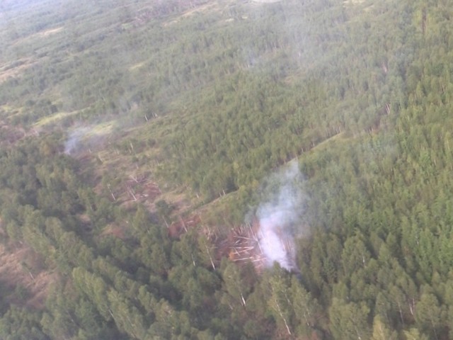Нижегородское МЧС с воздуха контролирует обстановку с лесными пожарами (Видео)