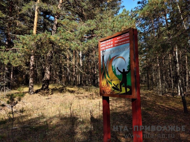 Пожароопасный режим ввели в Ульяновской области