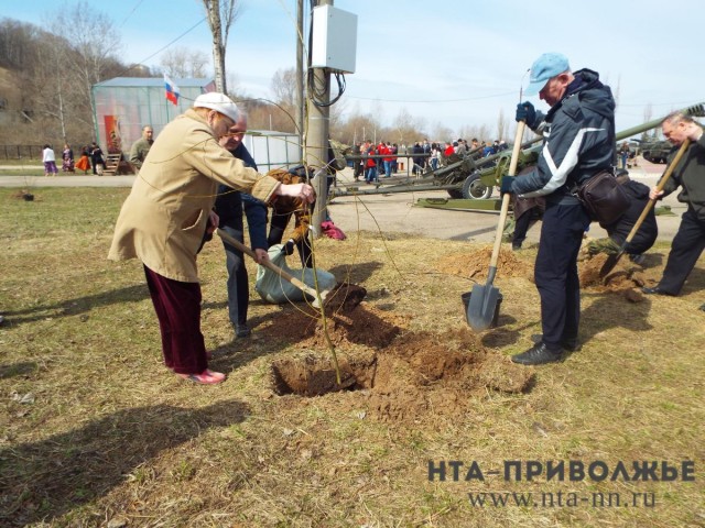 Месячник по благоустройству начнётся в Нижнем Новгороде 5 апреля