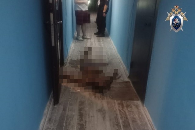 Подросток в Нижнем Новгороде подозревается в убийстве соседа