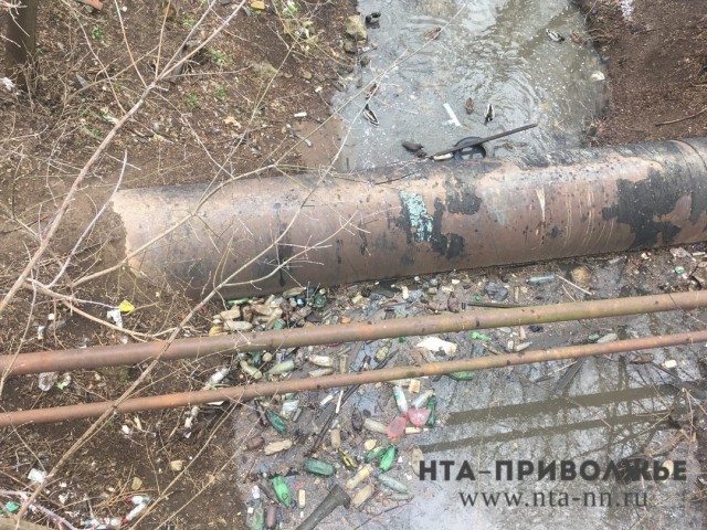 Главе администрации Ленинского района Нижнего Новгорода прокуратурой внесено представление из-за навалов мусора вдоль реки Борзовки