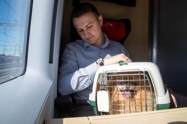 АО "ФПК" внесёт изменения в правила перевозки животных после ситуации с котом Твиксом