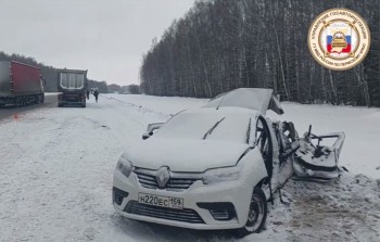 Трое взрослых и ребёнок погибли в ДТП в Пермском крае