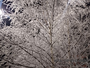 Морозы до -31 прогнозируются в Оренбуржье в крещенскую ночь
