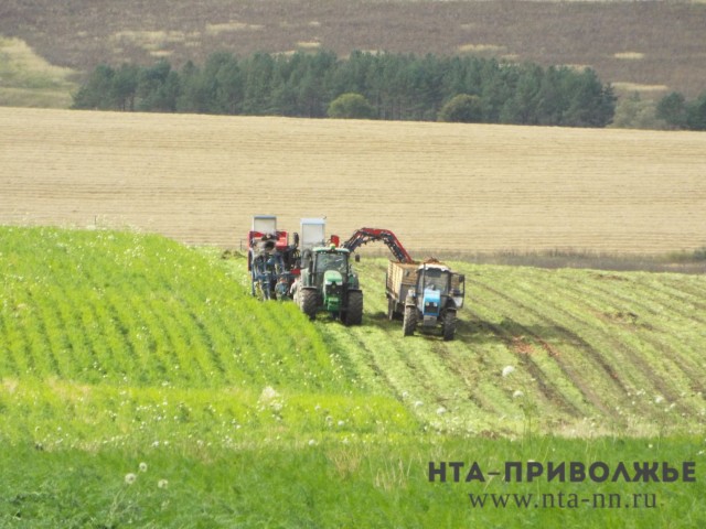 Нижегородские аграрии перевыполнили план по заготовке кормов для сельхозживотных