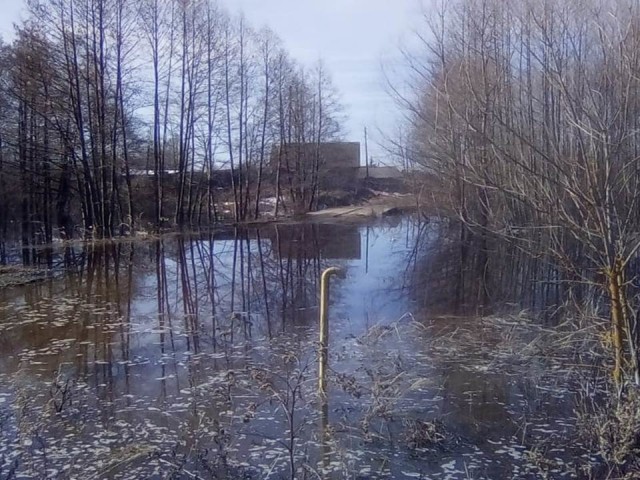 Автодорогу затопило в Навашинском округе 14 апреля