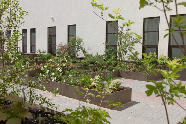 Ботанический сад создадут в частном крематории Нижнего Новгорода на грант проекта "Культурный район"