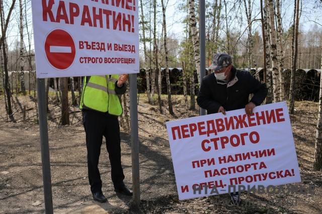 Нарушителей карантина в Выксе Нижегородской области ловят с помощью фотоловушек