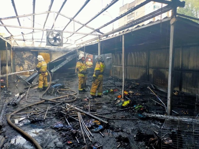 Павильон рынка "Народный" в Автозаводском районе Нижнего Новгорода сгорел этим утром