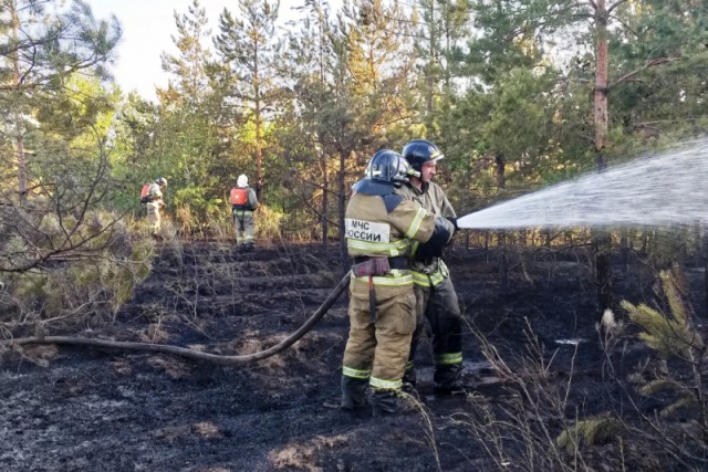 Масштабный пожар ликвидирован в Тольяттинском городском лесничестве в Самарской области