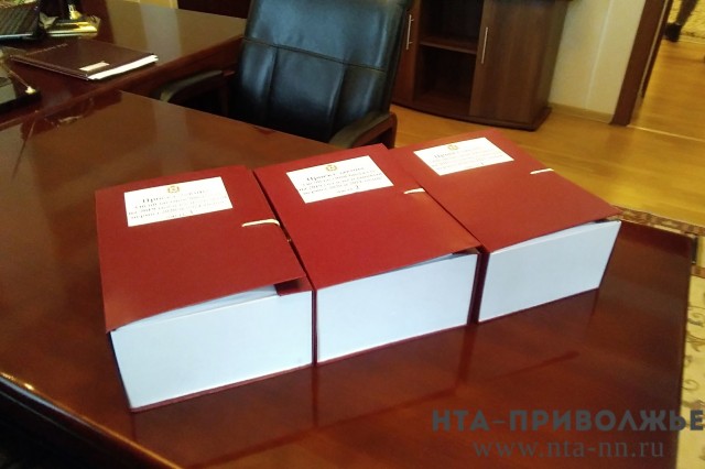 Глеб Никитин внес в ЗС НО проект поправок в бюджет