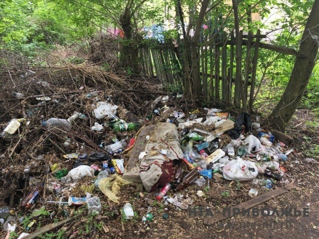 Несмотря на грязные улицы, администрация Ленинского района Нижнего Новгорода заявляет об уборке в рамках месячника по благоустройству 383 кубометров мусора