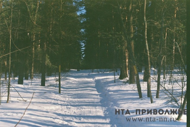АТИ составила 12 протоколов за сброс снега в Анкудиновский лес в Нижнем Новгороде