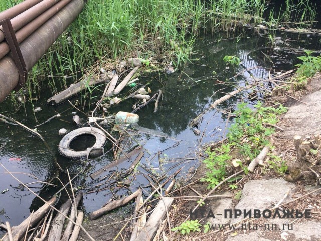 Мероприятия по расчистке реки Борзовки планируется разработать в Нижнем Новгороде