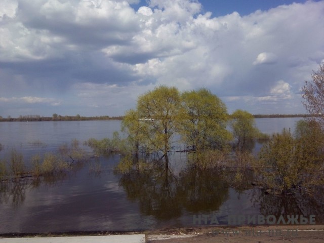 Более 60 участков освободились от воды в Балахне Нижегородской области