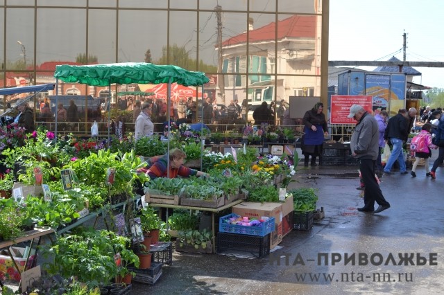 Администрация "Средного рынка" в Нижнем Новгороде планирует продлить разрешение на организацию торговли в 2018 году
