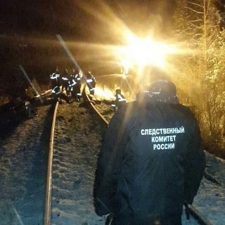 Восемь вагонов грузового поезда сошли с рельсов в Кировской области