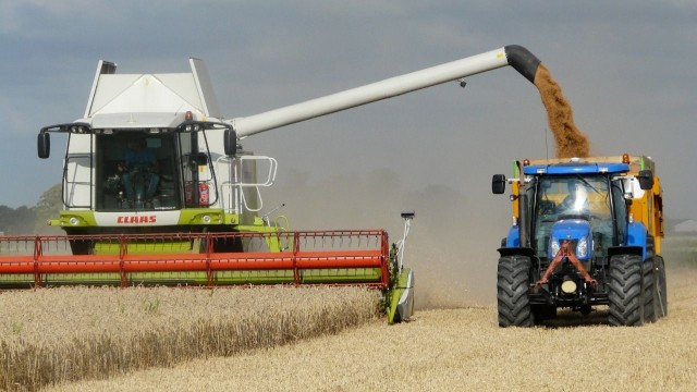 Более 90% засеянных зерновыми площадей убрано в Нижегородской области
