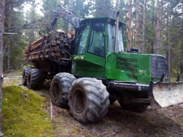 Предприниматель обвиняется в незаконной вырубке лесов в Нижегородской области на 17 млн рублей