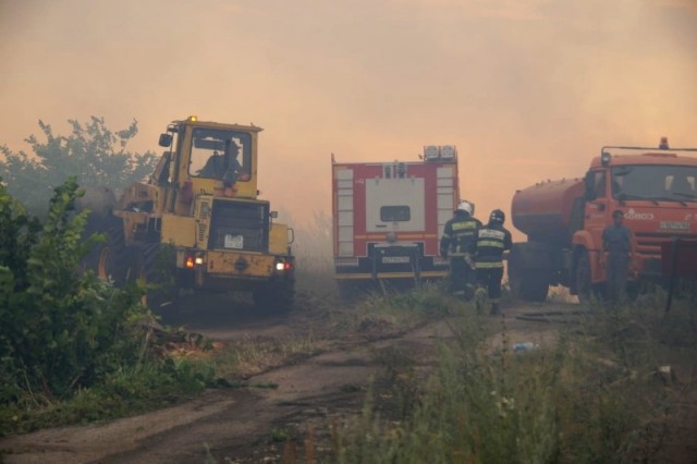 Пожарные ликвидируют лесной пожар в Центральном районе Тольятти