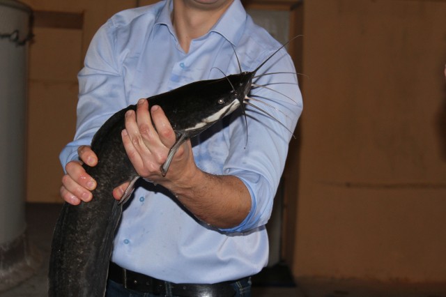Нижегородские рыбоводы пройдут обучение в рамках программы "Развитие товарной аквакультуры в Нижегородской области"