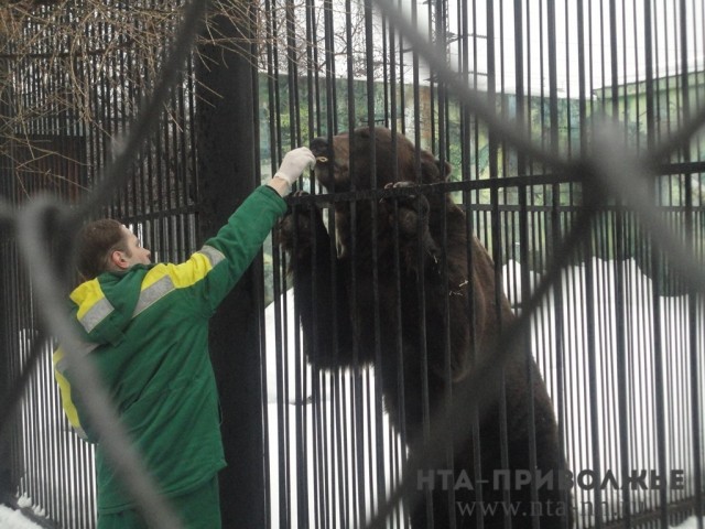 Нижегородский зоопарк "Лимпопо" просит о помощи в связи с режимом самоизоляции