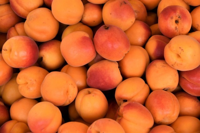 Восточную плодожорку выявили в абрикосах из Таджикистана в Нижнем Новгороде