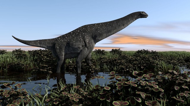 Учёные обнаружили рядом с Ульяновском останки гиганского динозавра