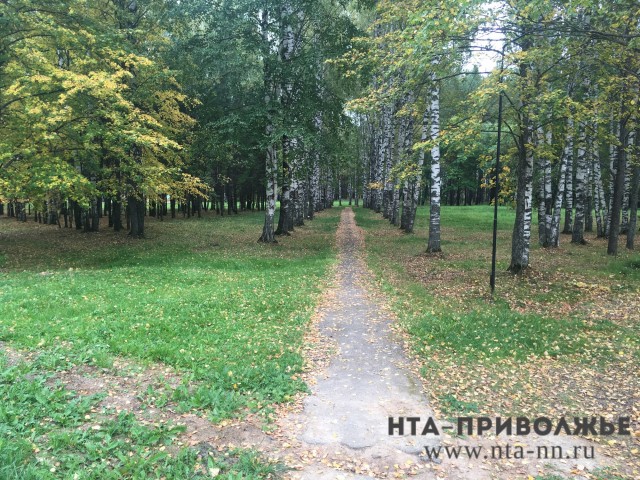 Никто не заявился на концессию по развитию Сормовского парка в Нижнем Новгороде