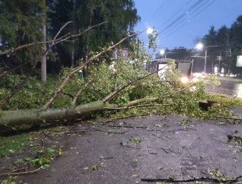 Ураганным ветром в столице Чувашии повалило 25 деревьев