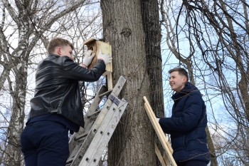 Акция "Каждой птице - дом в нижегородской столице" прошла в парке имени Кулибина