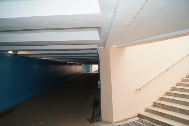 Подземный переход у завода "Нител" в Нижнем Новгороде для защиты от вандалов планируется включить в маршрут патрулирования полиции и ДНД
