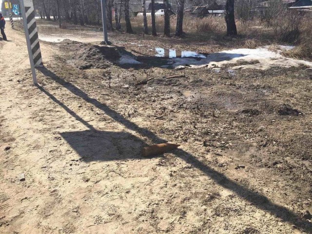 Три  боевых снаряда обнаружили у трассы в Борском районе