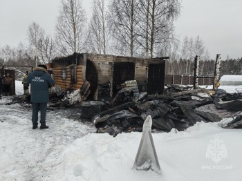 Трое детей погибли на пожаре в Нижегородской области