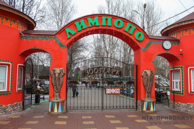 Пенсионеры смогут бесплатно посетить зоопарк "Лимпопо" в Нижнем Новгороде