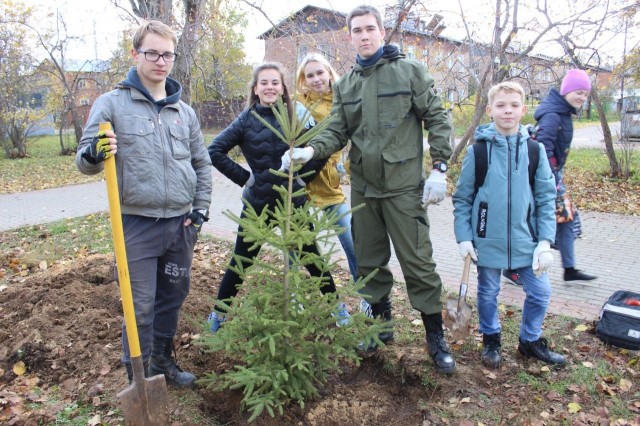 Экологический проект "Хвойный город" стартовал в Нижнем Новгороде
