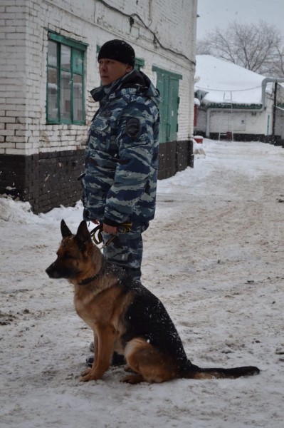 Овчарка Юта в Оренбургской области помогла отыскать пропавшего без вести пенсионера с провалами памяти