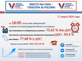 Явка избирателей в Нижегородской области к 18:00 17 марта превысила 77%