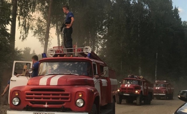 Более 1 тыс. человек тушат лесные пожары в Сарове