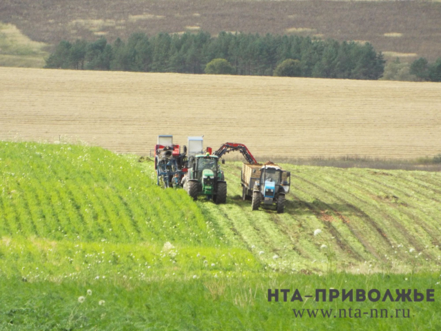 Председатель сельхозкооператива "Гафурийский" в Башкирии осуждена за махинации с бюджетными средствами
