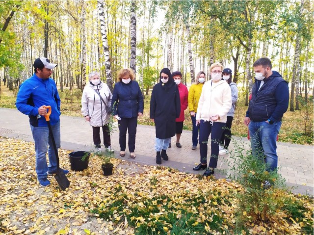 Около 60 деревьев высадили в Светлоярском парке Нижнего Новгорода по гарантии взамен не прижившихся
