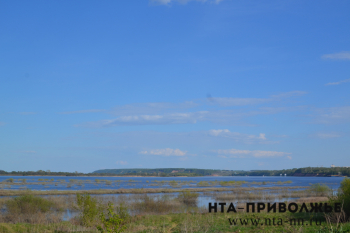 Уровень воды в Волге увеличился до 14 метров в Саратовской области