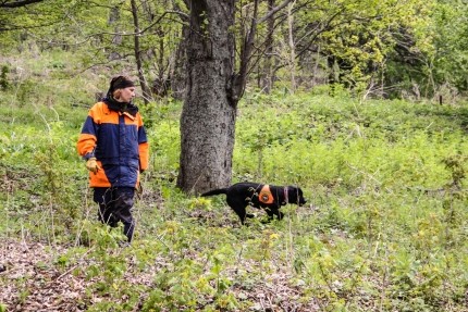 Четырёхлетний ребёнок найден живым спустя сутки после пропажи в лесу Борского района Нижегородской области