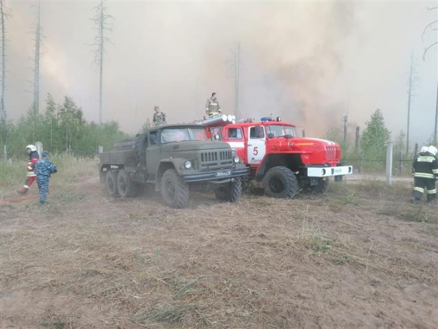 Силы Росгвардии брошены на борьбу с лесными пожарами в Мордовии и Нижегородской области