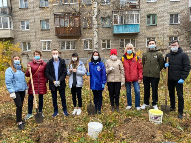 Активисты высадили на территориях нижегородских школ 700 саженцев кедров