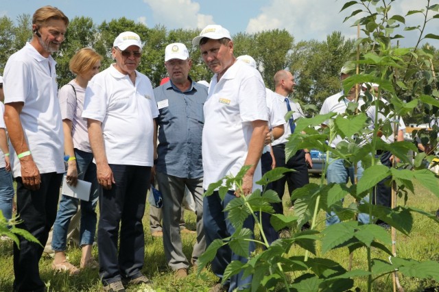Около 200 производителей АПК приняли участие в сельскохозяйственной выставке "День поля-2021" в Нижегородской области