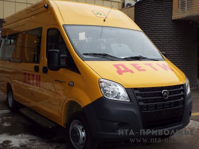 Обладающие микроавтобусами многодетные семьи Нижегородской области получат льготу по налогу на транспорт