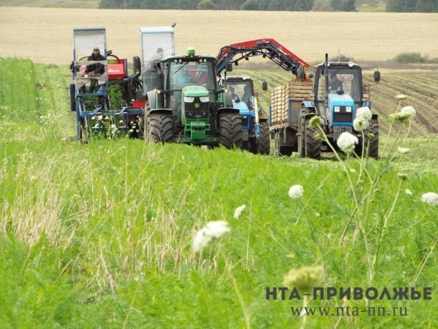 Грантовую поддержку фермеров увеличили на 8,3% в Нижегородской области