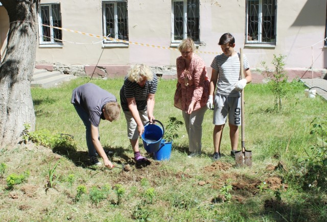 Экспериментальный высокотравный газон появится в Нижнем Новгороде