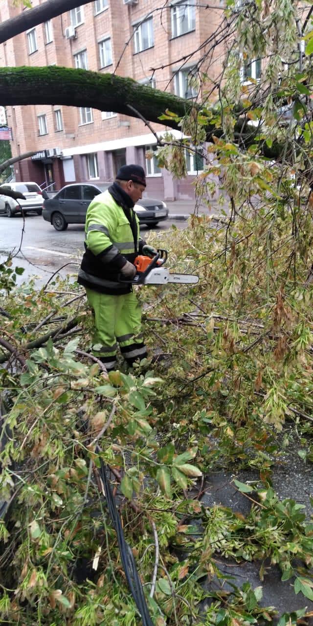 Перегороженное деревом движение по ул. Горького в Нижнем Новгороде восстановят в ближайшее время